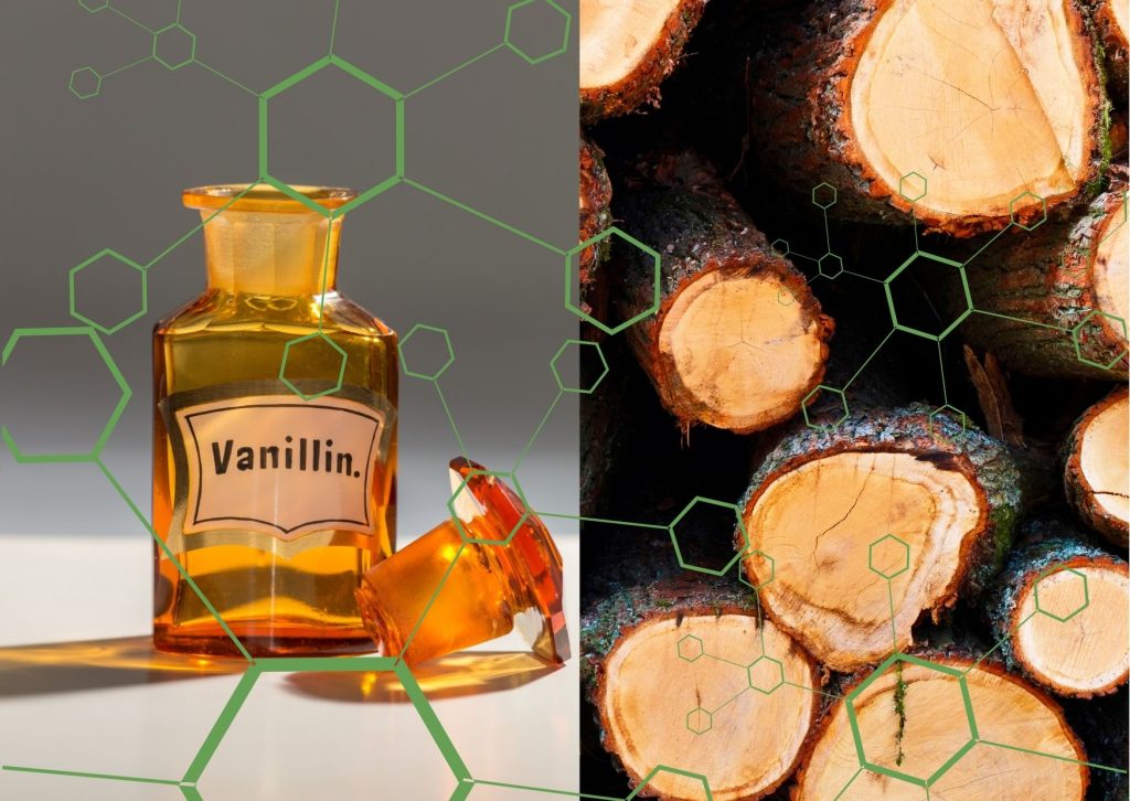 Vanillin from Lignin